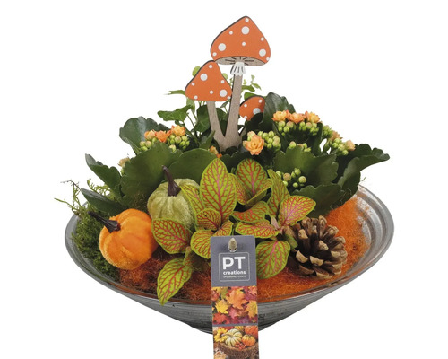 Herfsttafelstuk met planten, pompoenen en houten paddenstoelen in een schaal.