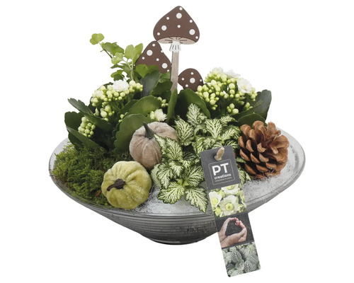 Decoratieve herfst plantenschaal met paddenstoelfiguren, pompoenen, dennenappels en plantenarrangement in een glazen schaal