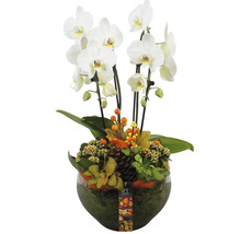 Arrangement met witte orchidee in glazen vaas met herfstdecoratie