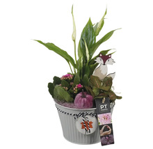 Plantenpot met verschillende planten, een houten vos en een decoratieve pompoen
