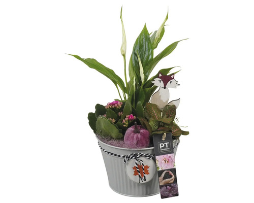 Plantenpot met verschillende planten, een houten vos en een decoratieve pompoen