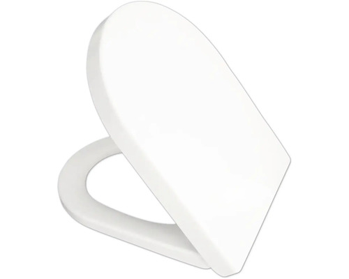 Toiletdeksel