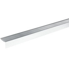 Traprandprofiel van aluminium
