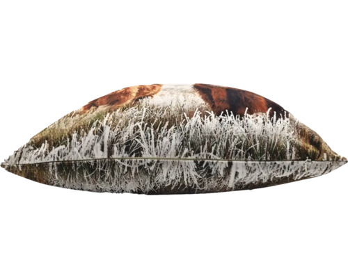 Decoratief kussen met Schotse hooglander motief