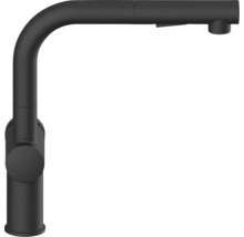 Keukenkraan met draaibare uitloop