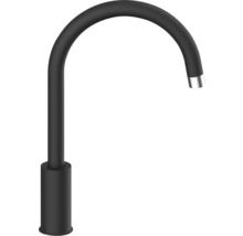 Zwarte kraan met gebogen uitloop