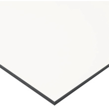 Witte decoratieve plaat met rand