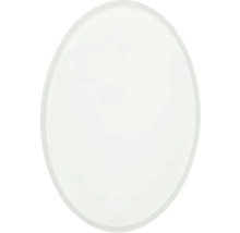 Ovale glasplaat