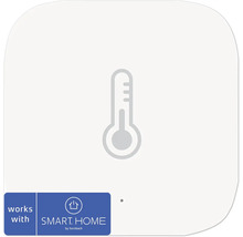 Thermometer symbool voor Smart Home Systeem