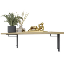 Wandplank met plant, geurstokjes en goudkleurig beeld