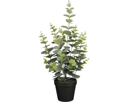 MICA Kunstbloem Eucalyptus in pot groen H 53 cm Eucalyptusplant in pot voor binnenshuis