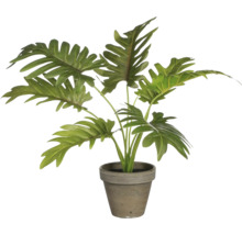 Kunstmatige kamerplant in een pot