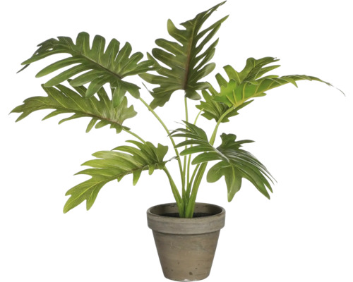 MICA Kunstplant Philodendron groen in pot grijs H 30 cm Kunstmatige kamerplant in een pot