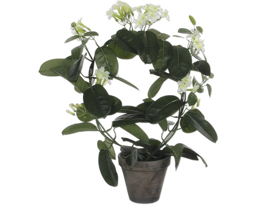 MICA Kunstplant Stephanotis wit in pot grijs H 50 cm Geurjasmijnplant groeiend in een pot