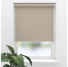Beige raamrolgordijn op het raam met plant