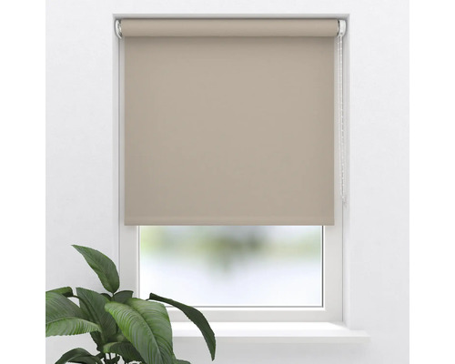 Beige raamrolgordijn op het raam met plant