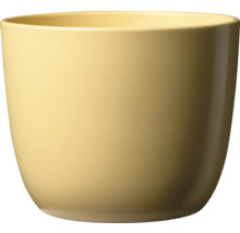 Gele bloempot