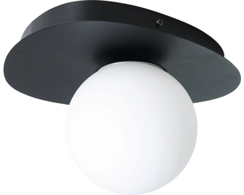 EGLO Wandlamp badkamer Castrovido Ø 23,5 cm zwart 1 lamp IP44 Plafondlamp met bolvorm