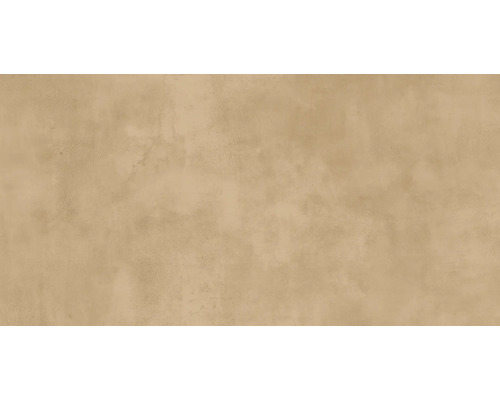 Wand- en vloertegel Noblesse lichtbruin 60x120 cm Achtergrond met pleisterstructuur