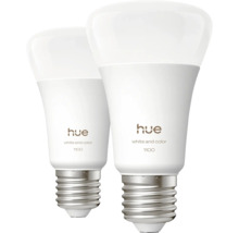 Twee Hue White en Color 1100 lampen