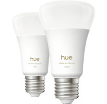 Twee Philips Hue White Ambiance 1100 lampen