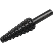 Rasp voor gebruik in een boormachine