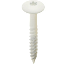 Een enkele schroef met verzonken kop en Torx-aandrijving