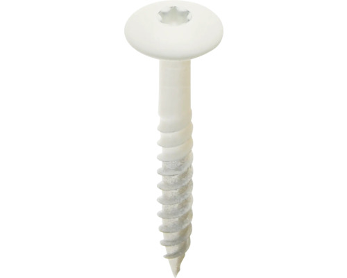 Een enkele schroef met verzonken kop en Torx-aandrijving
