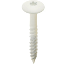 Een enkele schroef met torxkop.