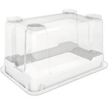 Transparante kweekbak met witte onderschaal voor het kweken van planten