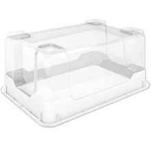 Doorzichtige opbergdoos met deksel