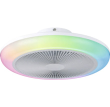 Plafondventilator met verlichting