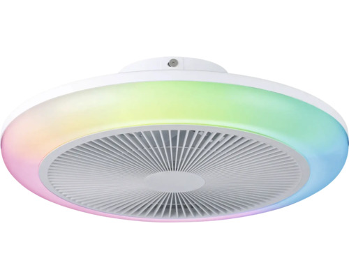 Plafondventilator met verlichting