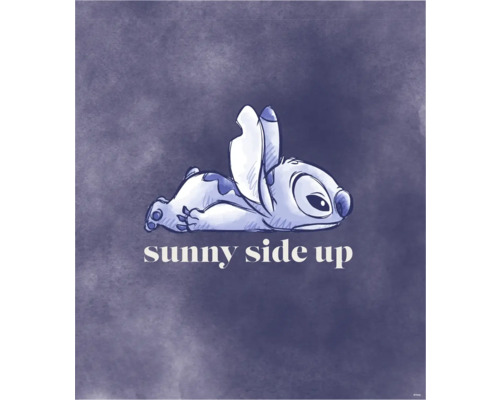 Illustratie van Stitch met de tekst Sunny Side Up