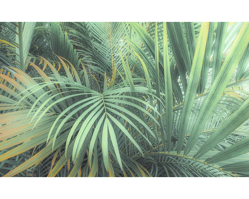 KOMAR Fotobehang vlies PSH107-VD4 Pure 2 Foggy Fern 400x250 cm Close-up van palmbladeren