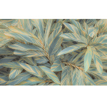 Close-up van gemberplanten met gestreepte bladeren.