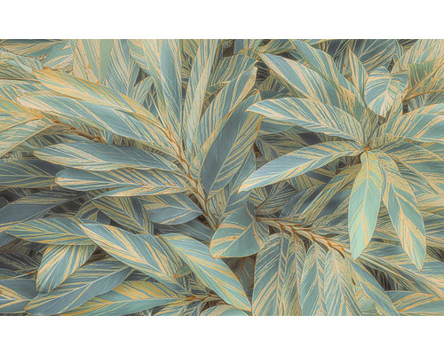 KOMAR Fotobehang vlies PSH111-VD4 Pure 2 Amazon Vibes 400x250 cm Close-up van gemberplanten met gestreepte bladeren.