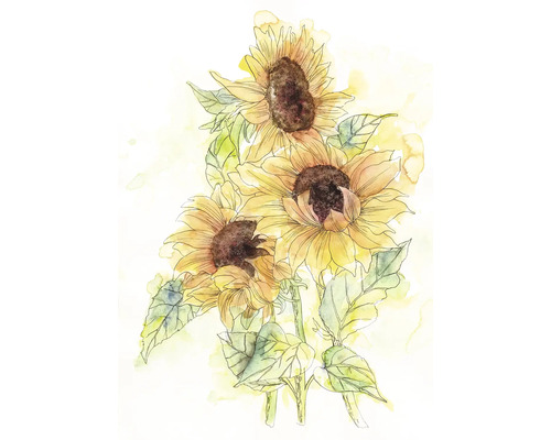 Illustratie van drie zonnebloemen met bladeren
