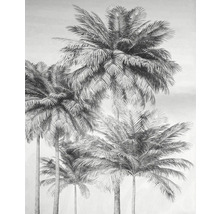 Palmboom behang voor wanddecoratie
