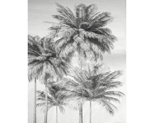 Palmboom behang voor wanddecoratie