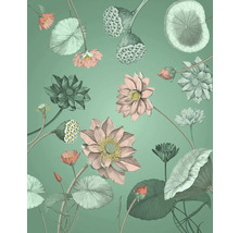 Illustratie van lotusbloemen en -bladeren tegen een effen achtergrond