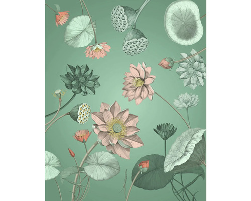 Illustratie van lotusbloemen en -bladeren tegen een effen achtergrond