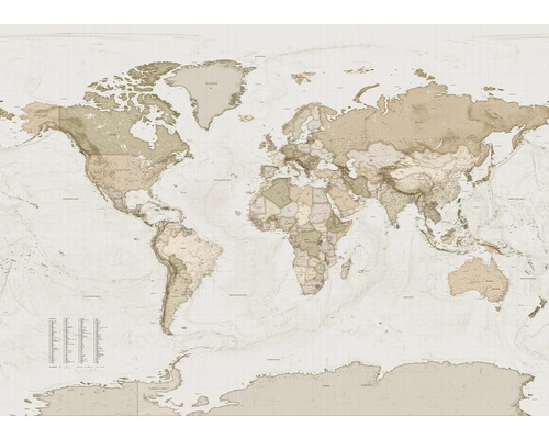 Wereldkaart met geografische details