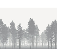 Illustratie van een dicht bos in de mist