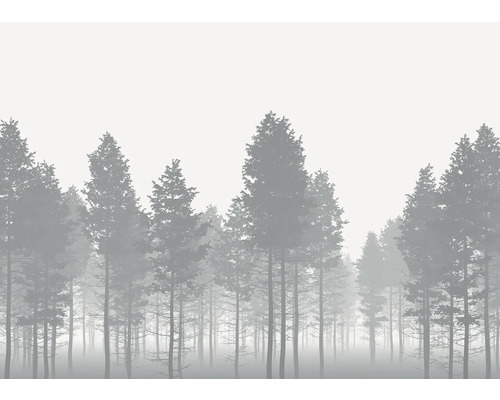 Illustratie van een dicht bos in de mist
