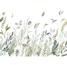 Illustratie van verschillende groene planten op een witte achtergrond