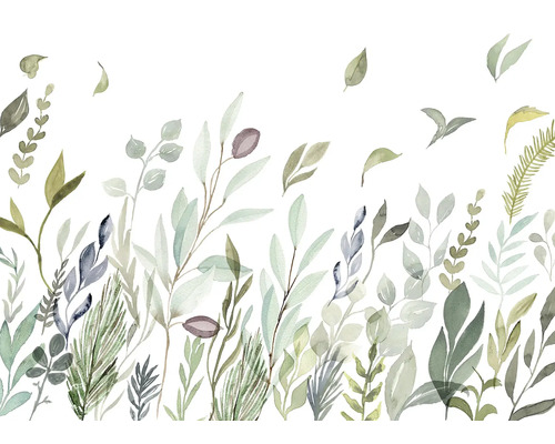 Illustratie van verschillende groene planten op een witte achtergrond