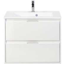 Wastafelmeubel met twee laden en kraan