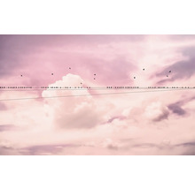 Veel vogels zitten op een elektriciteitsleiding voor een bewolkte hemel.