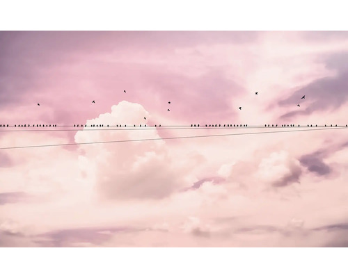 Veel vogels zitten op een elektriciteitsleiding voor een bewolkte hemel.